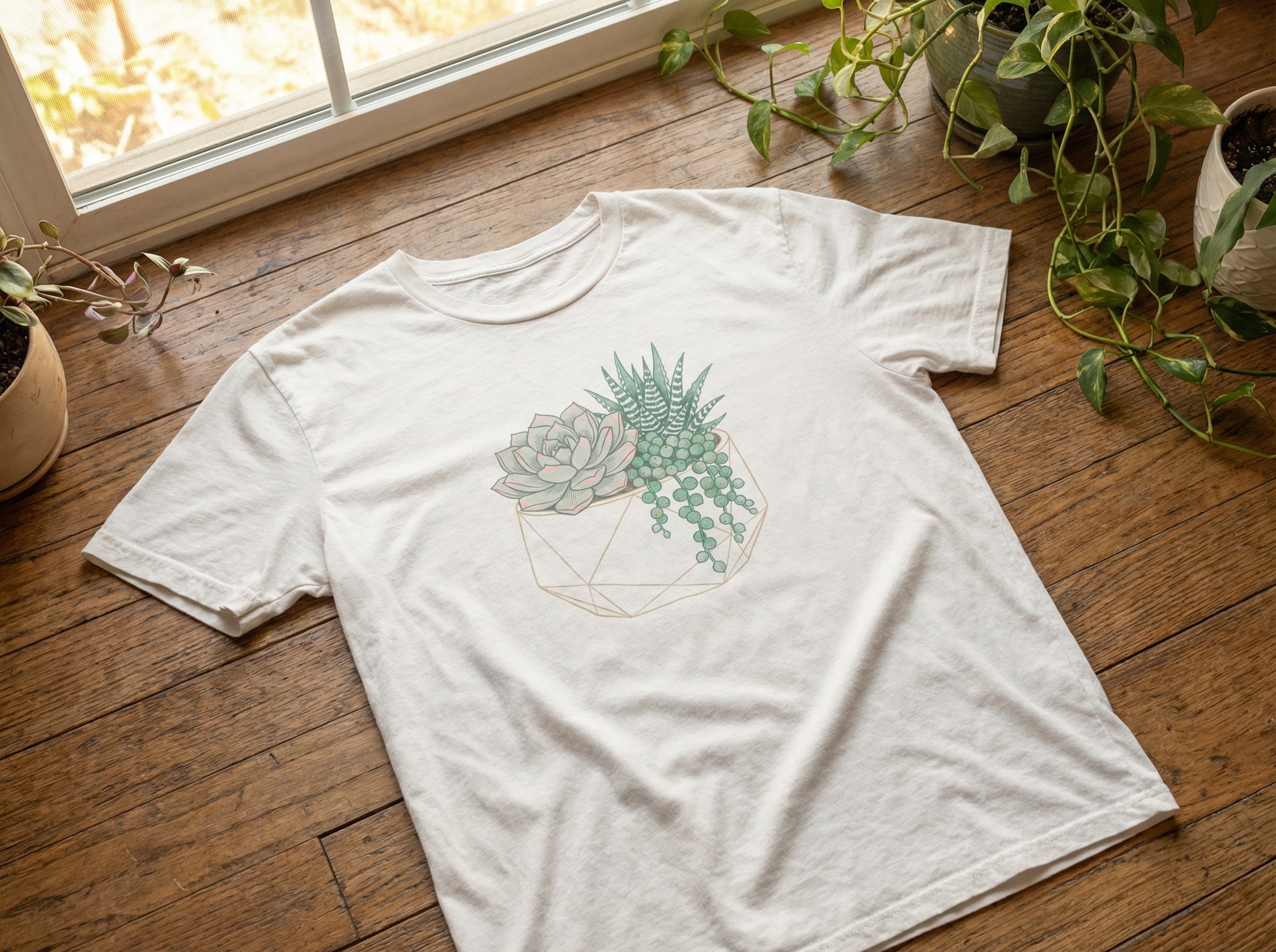 Product display photo